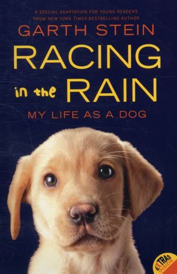Racing in the Rain