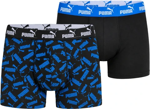 Puma Apatiniai Vyrams Men Elements Mėlyna 947802 02