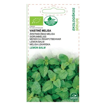 EKO VAISTINĖ MELISA LEMON BALM