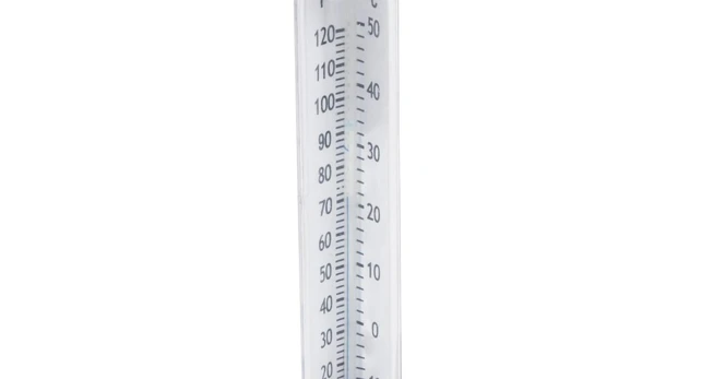 Plaukiojantis baseino termometras Bestway 58072