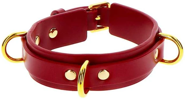 Taboom D-Ring Collar Deluxe