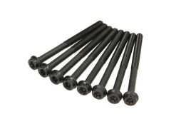 REINZ 14-32106-01 Cylinder head bolt set kaina