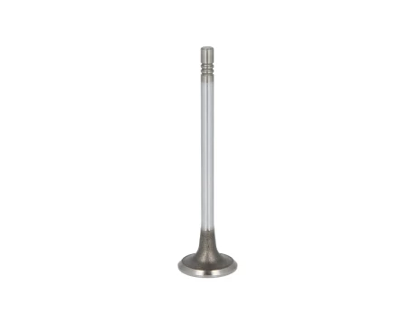FRECCIA 6728/SCR Inlet valve