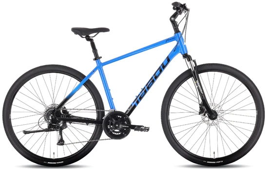 Dviratis Tabou Flow 2 21 black-blue-L / 21"