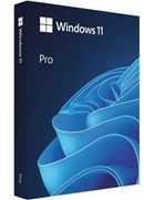 Microsoft Windows Pro 11 64 bitų Slovakijos USB