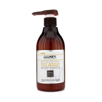Šampūnas dažytiems plaukams, 500 ml CL0500TSH
