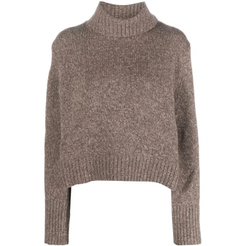 Sportinis nertinis moterims, Ruda, Long sleeve pullover