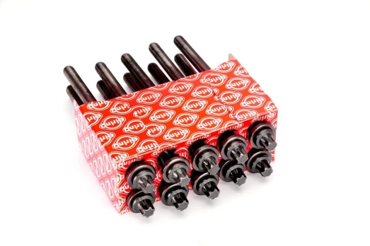 ELRING EL803060 Cylinder head bolt set