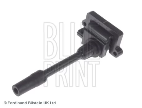 Ritė, uždegimas BLUE PRINT ADC41474