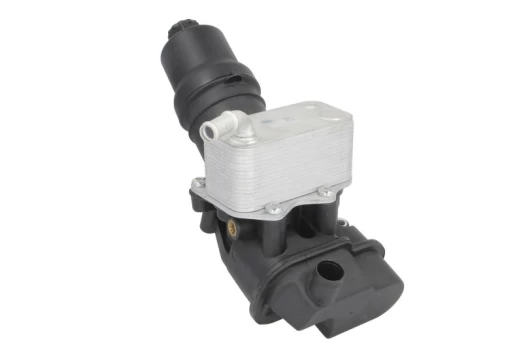 Alyvos radiatorius THERMOTEC D4A021TT