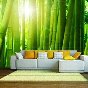 Artgeist Fototapetas - Sun and bamboo kaina