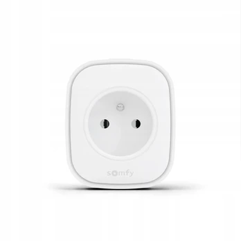 Somfy Zigbee E tipo išmanusis lizdas