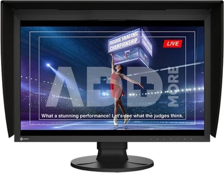 Eizo ColorEdge CG2400SV
