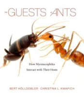 Guests of Ants kaina