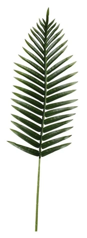 Dirbtinė šakelė, palmė Splendid Palma, žalia, 1000 mm kaina