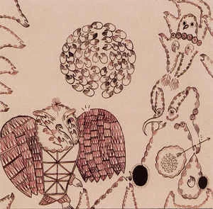 CD Devendra Banhart - Rejoicing In The Hands