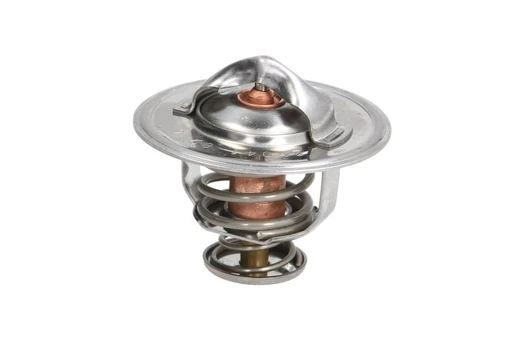 termostatas, aušinimo skystis THERMOTEC D2X003TT
