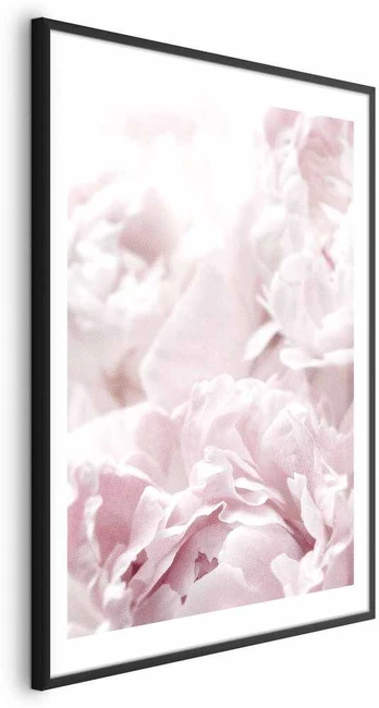 Artgeist Plakatas - Fluffy Peonies
