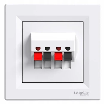 Schneider Electric baltas internetinis sieninis lizdas Eph5700121