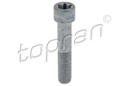 TOPRAN 411 095 Varžtas