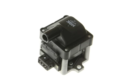 Ritė, uždegimas NGK 48000