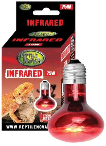 REP NOVA Infrared terariumo lempa 75W