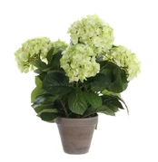 MICA Artificial flower in a pot. hydrangea. baltas col.. 45 cm kaina
