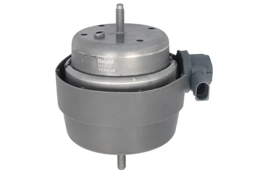 Variklio montavimas DELPHI TEM238