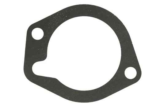 Termostato tarpinė ENGITECH ENT010919