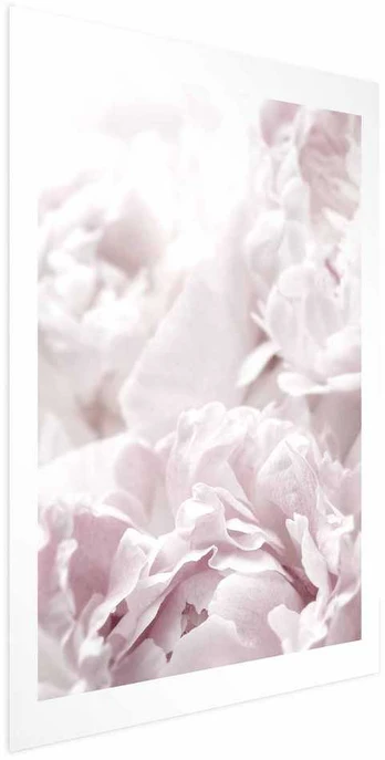 Artgeist Plakatas - Fluffy Peonies