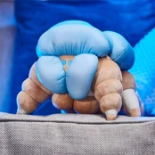 Numskull - Destiny Plush Screeb Hatchling kaina