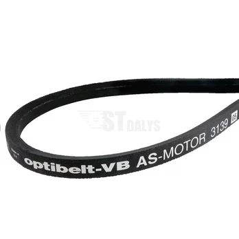 AS-Motor 45 B4 diržas E03139 - Originali atsarginė dalis
