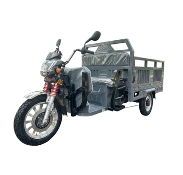 Elektrinis krovininis triratis motoroleris skuteris RIDE-E BULL (EEC)