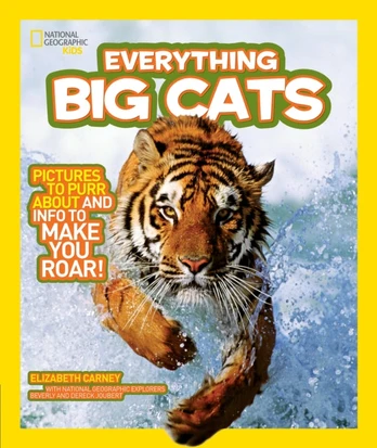 Everything Big Cats