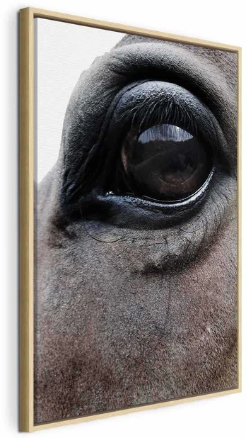 Artgeist Paveikslas - Honest Eyes (1 Part) Vertical