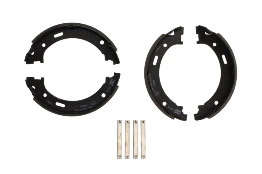 TRW GS8795 Brake shoe set