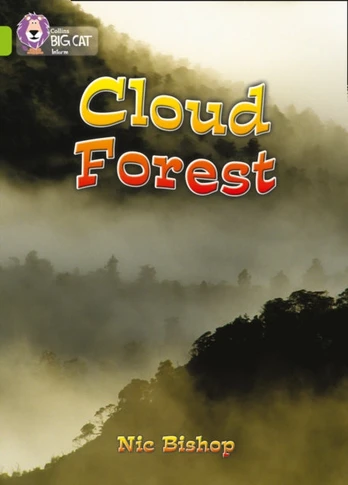 Cloud Forest