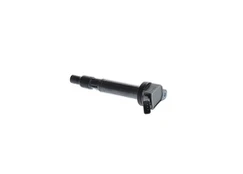 Ritė, uždegimas BOSCH 0 986 AG0 501