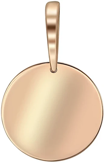 Auksinis pakabukas Brasco 65097