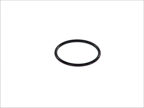 Vakuuminio siurblio tarpinė HP100 842