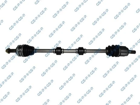 Pusašis GSP 224391