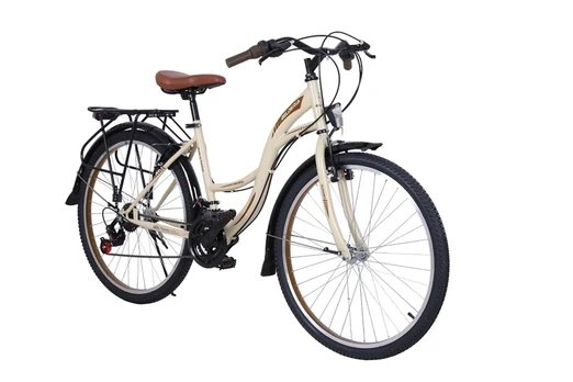 Dviratis miesto VISION-HOLIDAY, 28 ", rudas