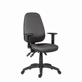 Ergonomiška biuro kėdė Powerton Anna, pilka