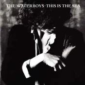 CD The Waterboys - This Is The Sea
