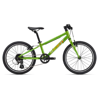 Giant ARX 20 20" // 8G (žalia)