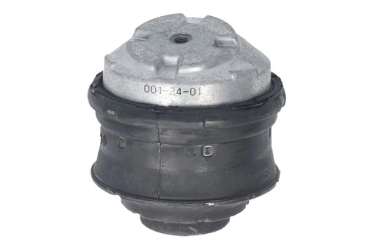 Variklio montavimas DELPHI TEM134