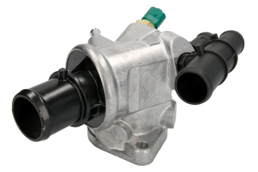 termostatas, aušinimo skystis THERMOTEC D2D001TT