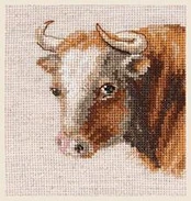 Beldizart Jautis S0-214