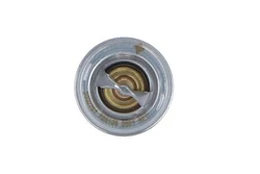 Termostatas, aušinimo skystis NRF 725109 kaina