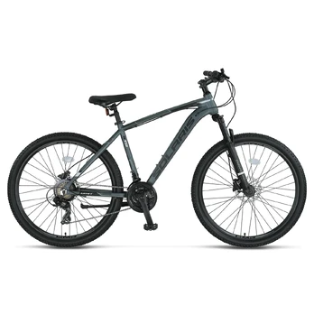UMIT Solaris XC HYD 29" // 21G, dydis 18" (46 cm) (pilka)